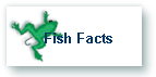 Fish Facts