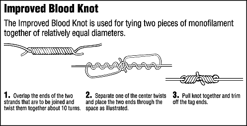 Fishing Knots Black Lake, New York shows you how to tie a variety of fishing knots with easy to follow drawings Black Lake, NY Your Fishing Location for Largemouth Bass, Smallmouth Bass, Northern Pike, Walleye, Perch, & Crappie. Black Lake is a Freshwater Fishermans Paradise located in Upstate, New York