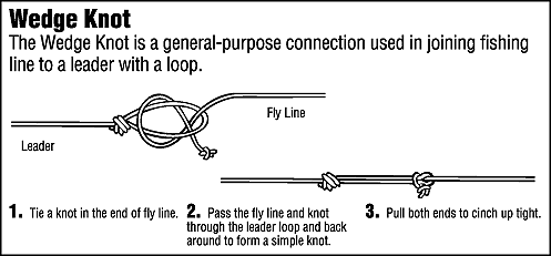 Fishing Knots Black Lake, New York shows you how to tie a variety of fishing knots with easy to follow drawings Black Lake, NY Your Fishing Location for Largemouth Bass, Smallmouth Bass, Northern Pike, Walleye, Perch, & Crappie. Black Lake is a Freshwater Fishermans Paradise located in Upstate, New York