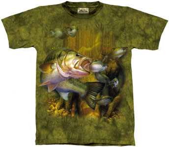 knocks.jpg (10895 bytes)