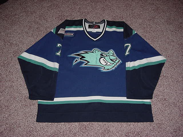 worcester icecats jersey