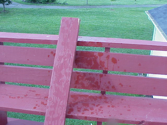 Sniper3.JPG (92206 bytes)