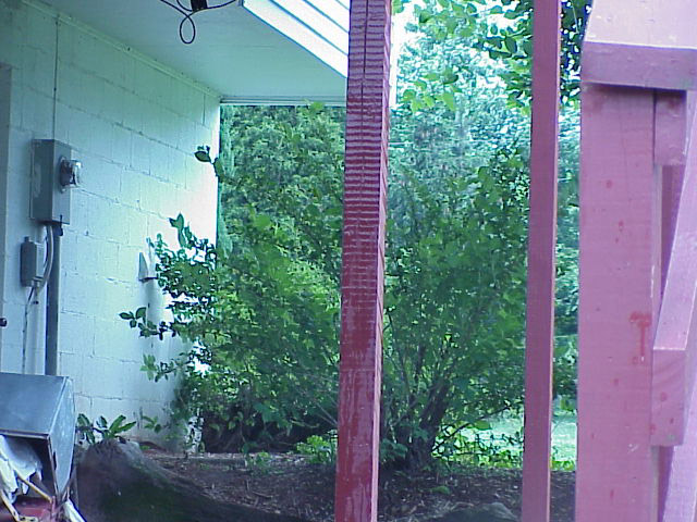 Sniper8.JPG (124343 bytes)