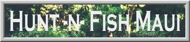 Hunt -n- Fish Banner