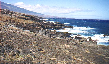 Kahikinui Shoreline