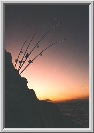 Fishing Photo Album