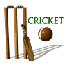 Cricket