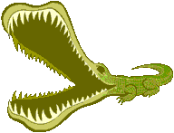 Alligator.gif (3150 bytes)