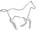 canter animation