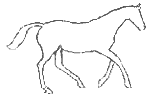 gallop animation