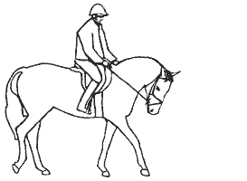 turn on the forehand animation