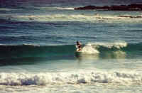 a5b.jpg (78982 bytes)