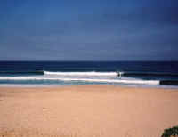 e11.jpg (147347 bytes)