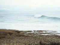 e8.jpg (85082 bytes)