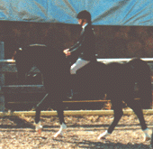 Me and Ace in a Horse Show