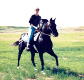 Me and Ace out for a ride