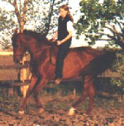 Me Riding Salty Bareback