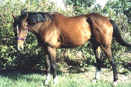 Parker with head down