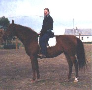 Me Riding Salty at Show