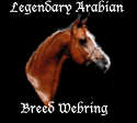 The Legendary Arabian Breed Webring