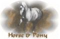 Horse and Pony