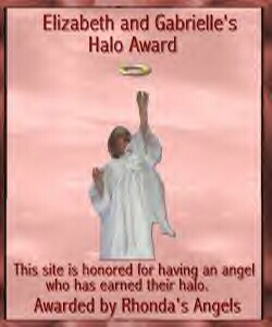 Rhonda's Angels Award