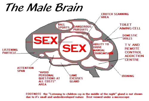 male_page2.jpg (21971 bytes)