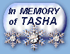 IN MEMORY of TASHA