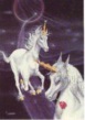 unicorn35