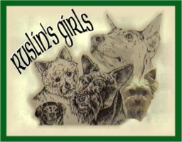 Ruslin's Girls