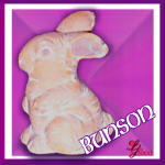 Bunson the Bunny