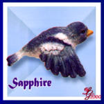 Sapphire the Bluebird