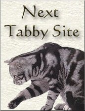 Next Tabby Site