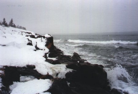  the cold shore 