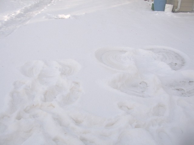 Mommy & Adrienne's Snow Angels