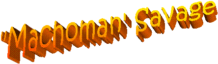 Machoman Savage