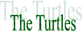 Turtles
