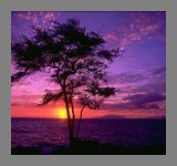 Solitute in Our Utopia