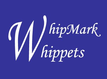 [WhipMark Whippets ICON]