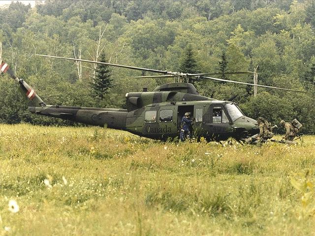 Griffon3.jpg (111023 bytes)