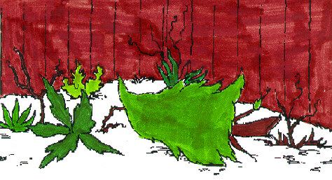 page_13.jpg (77028 bytes)