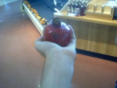 Searching for a check out