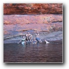 [Click to enlarge image]