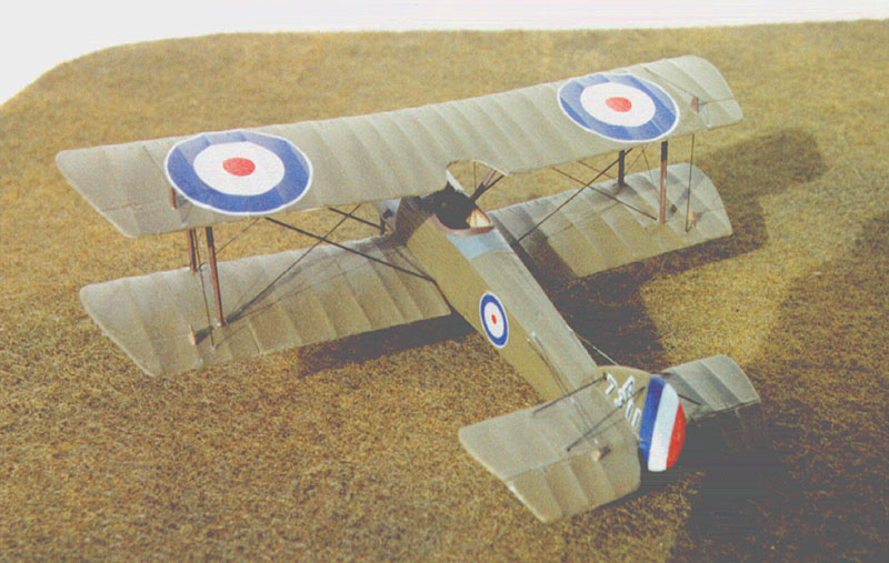 pup_01.jpg (114045 bytes)