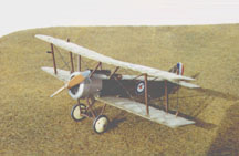 pup_02tn.jpg (14679 bytes)