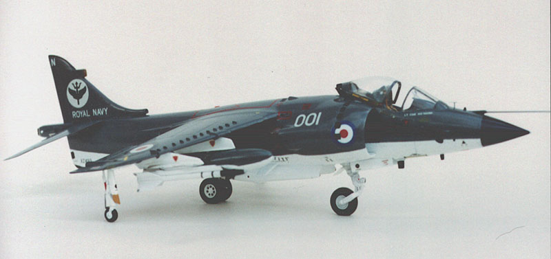 Tam-SeaHarrier_3.jpg (67007 bytes)