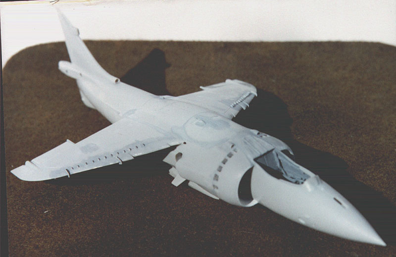 Tam-SeaHarrier_3.jpg (67007 bytes)