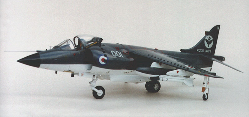 Tam-SeaHarrier_3.jpg (67007 bytes)