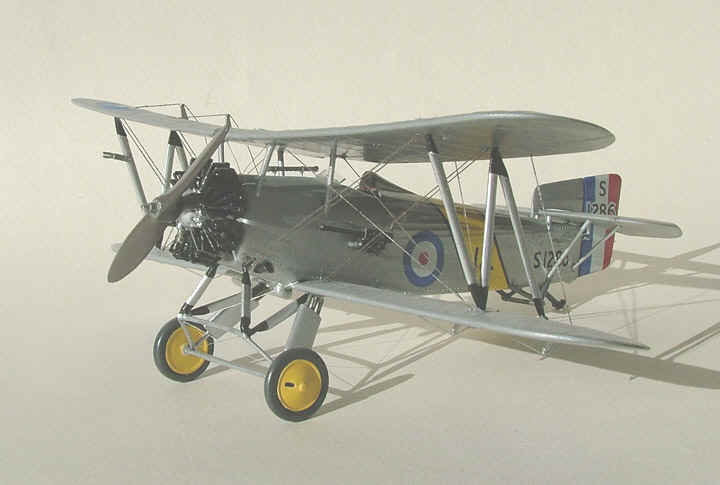 flycatcher_01.jpg (191812 bytes)