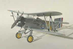 flycatcher_01tn.jpg (25012 bytes)